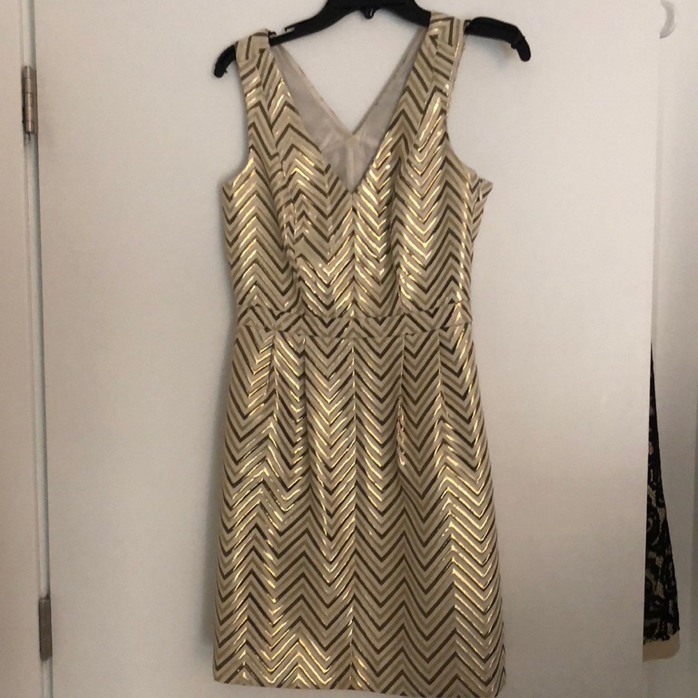 Gold and Sliver JCrew dress